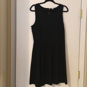 Black Dress with Gold Zipper